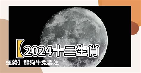 2024 什麼生肖